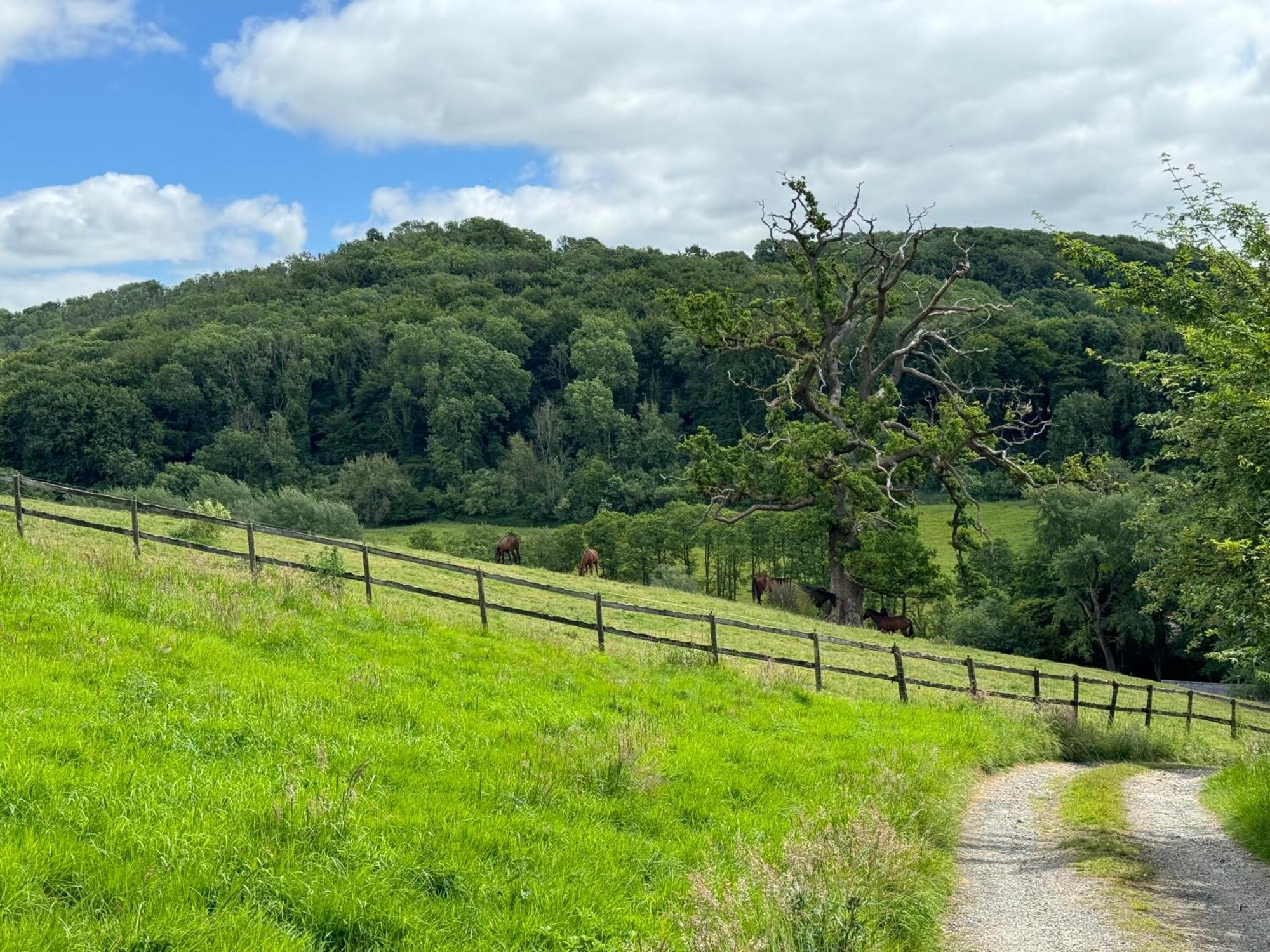 The Spring Slad Valley Cotswolds Painswick Exteriér fotografie